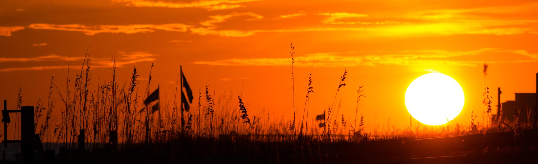 Phoenix west ii orange beach condo rentals